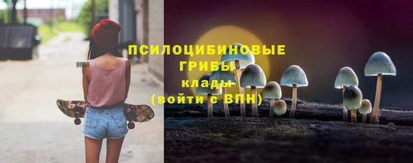 Альфа ПВП Абаза