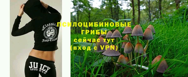 гашик Абинск